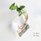 gmMLFashionWallHangingGlassFlowerVaseTerrariumWallFishTankAquariumContainerFlowerPlante
