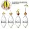 Transparent Glass Avocado Seed Starter Vase Plant Growing Kit For Gardening Enthusiasts 1