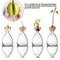 Transparent Glass Avocado Seed Starter Vase Plant Growing Kit For Gardening Enthusiasts 1