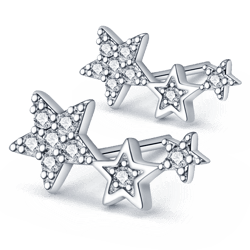 2023 trending women's wedding earrings: 925 sterling silver red carp & conch shell jewelry gift