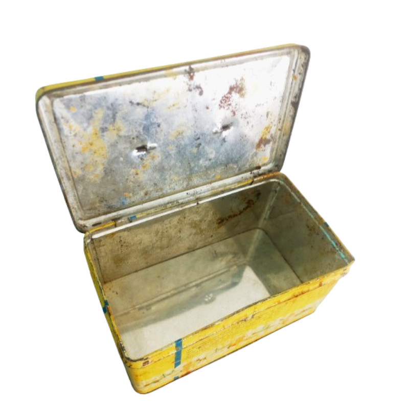 BISCOTTI PLASMON Baby Kids Italian Cookies Collectible TIN Box Original Made In Italy 1960s 5