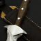 Shop now walnut handle dagger knife