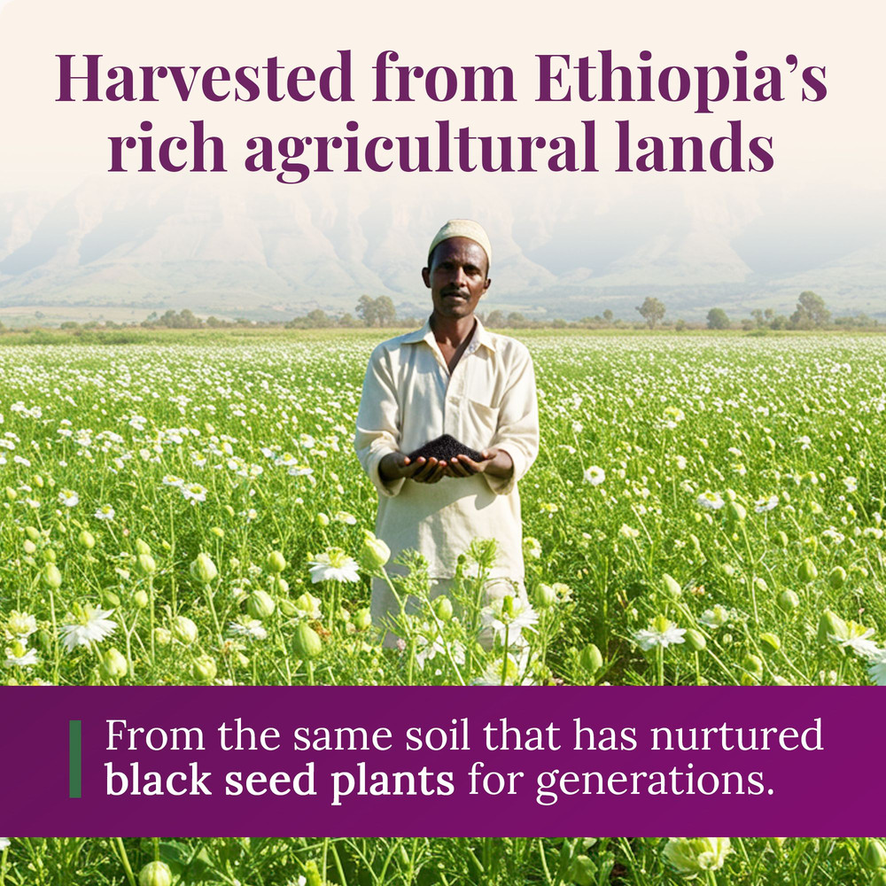 Ethiopian Black Seed Oil 42oz GLASS 6