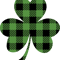 BuffaloShamrock.png