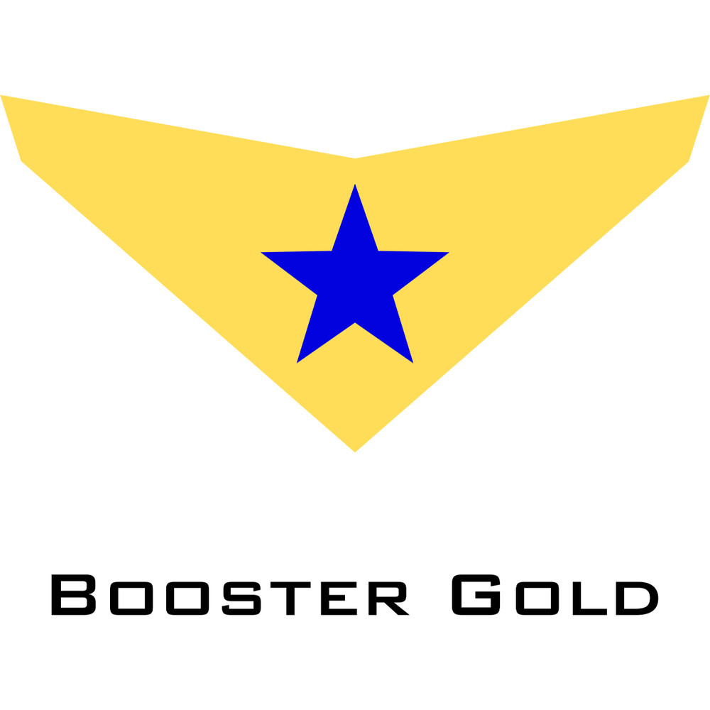 Booster Gold.jpg