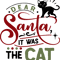 Dear Santa it was the cat.png