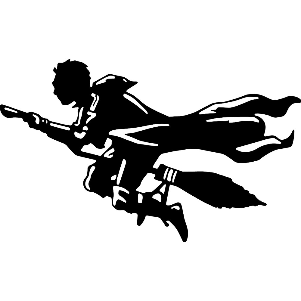 30_ Flying Harry.jpg