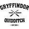 38.gryffindor quidditch.jpg