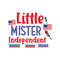 Little Mister Independent-01.jpg