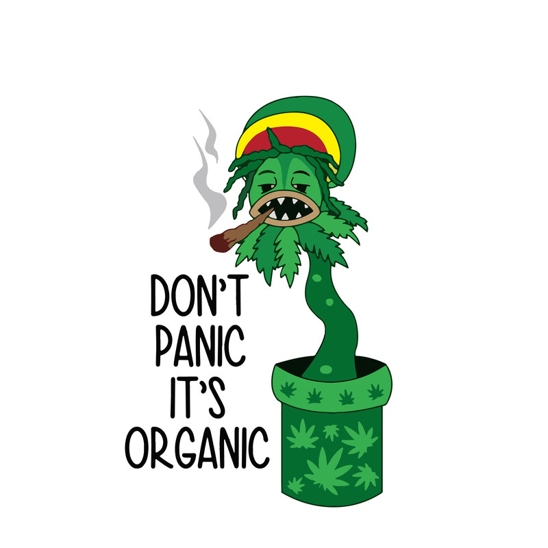 Untitled-5-01.png