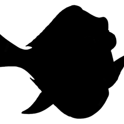 finding nemo silhouette svg, finding dory svg, dory svg, finding dory svg, nemo characters svg, disney svg, cut file-1