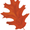 Leaf (3).png