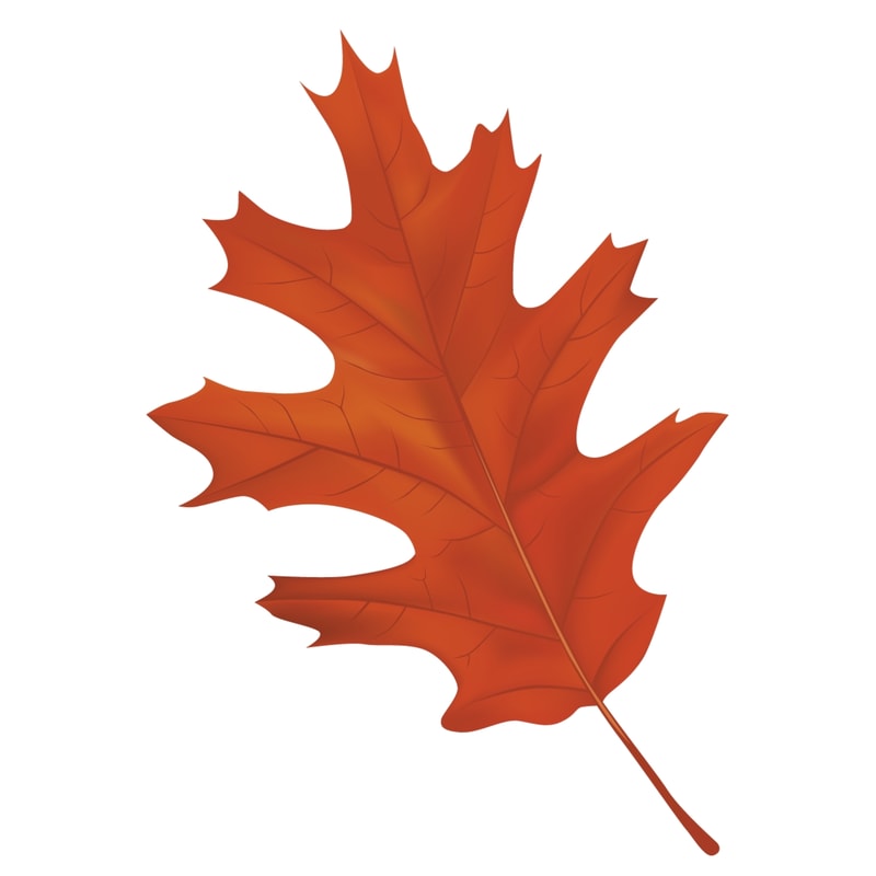 Leaf (3).png