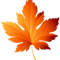 Leaf (4).png
