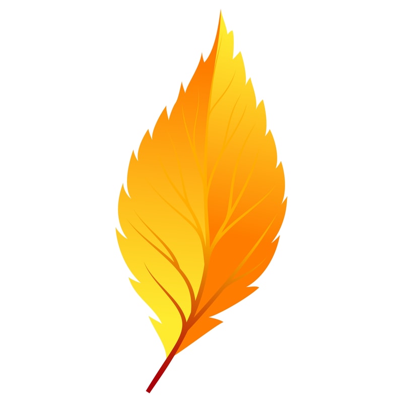 Leaf (5)(1).png