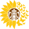 sun2.png