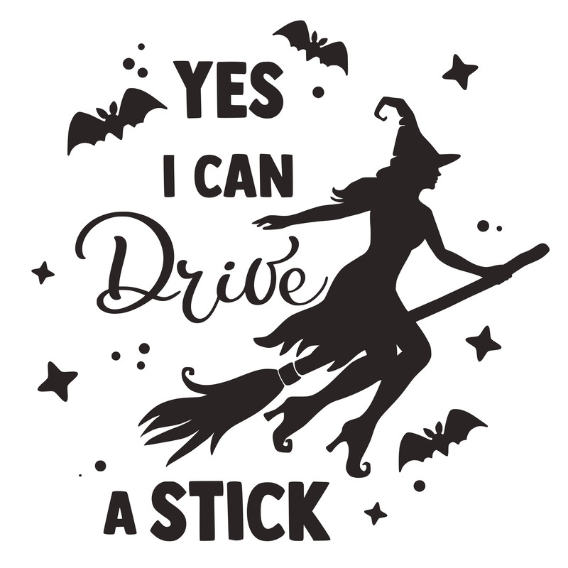 yes i can drive a stick.png