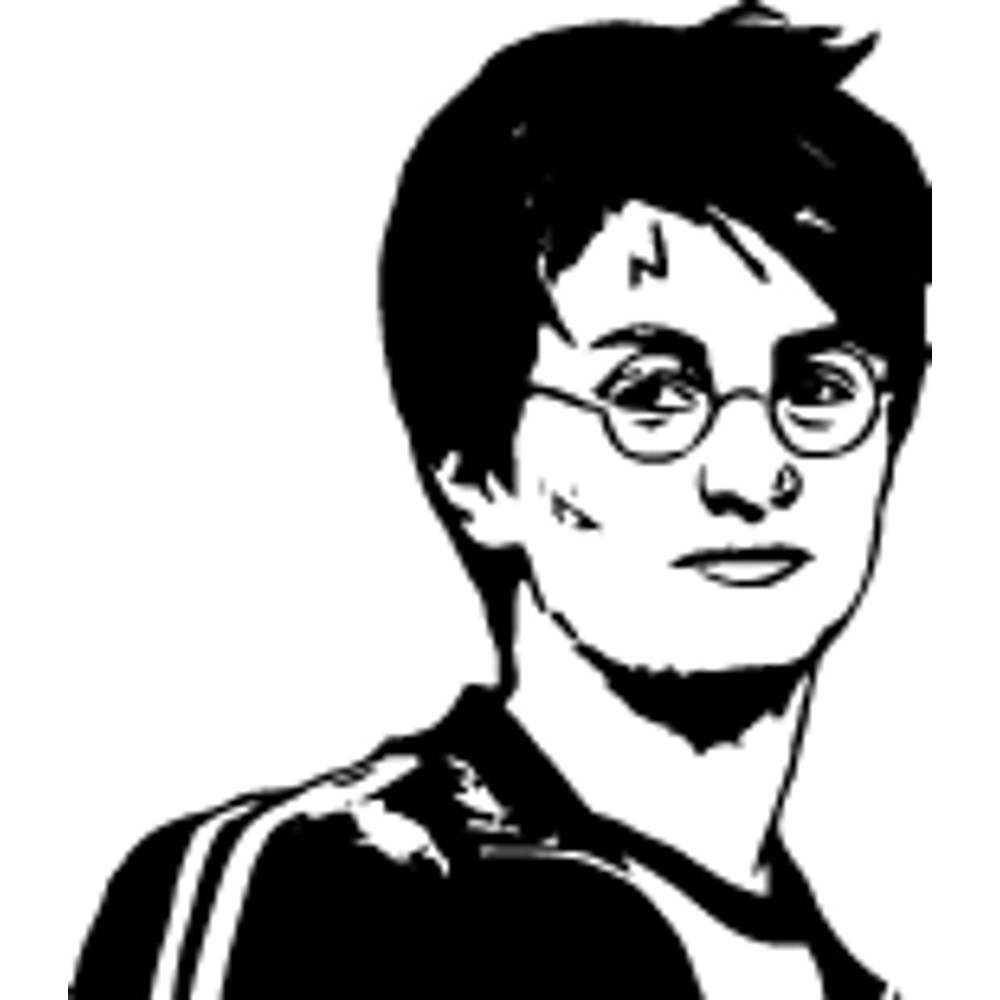 Harry Potter (1).png