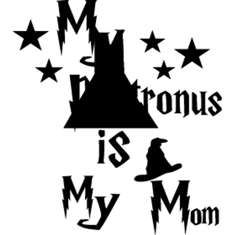 Harry Potter (2).png