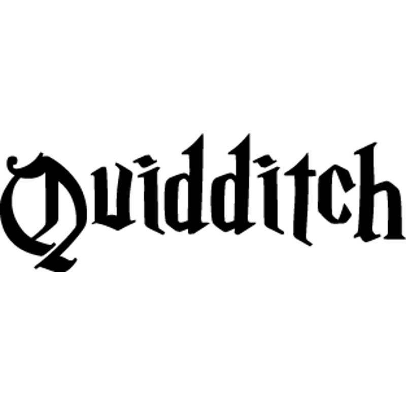 Harry Potter (6).png