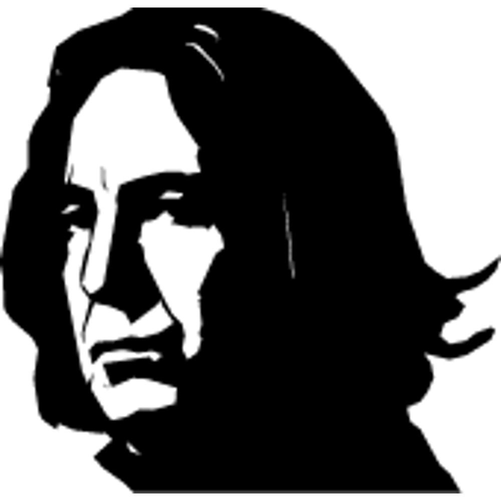 Harry Potter (32).png