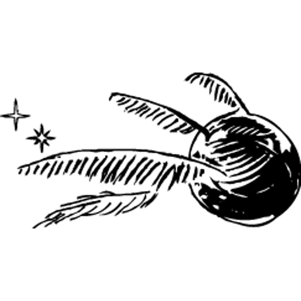 Harry Potter (36).png