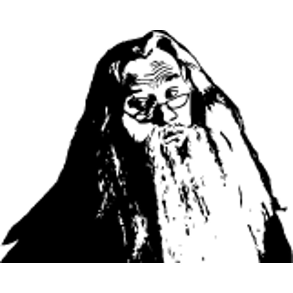 Harry Potter (38).png