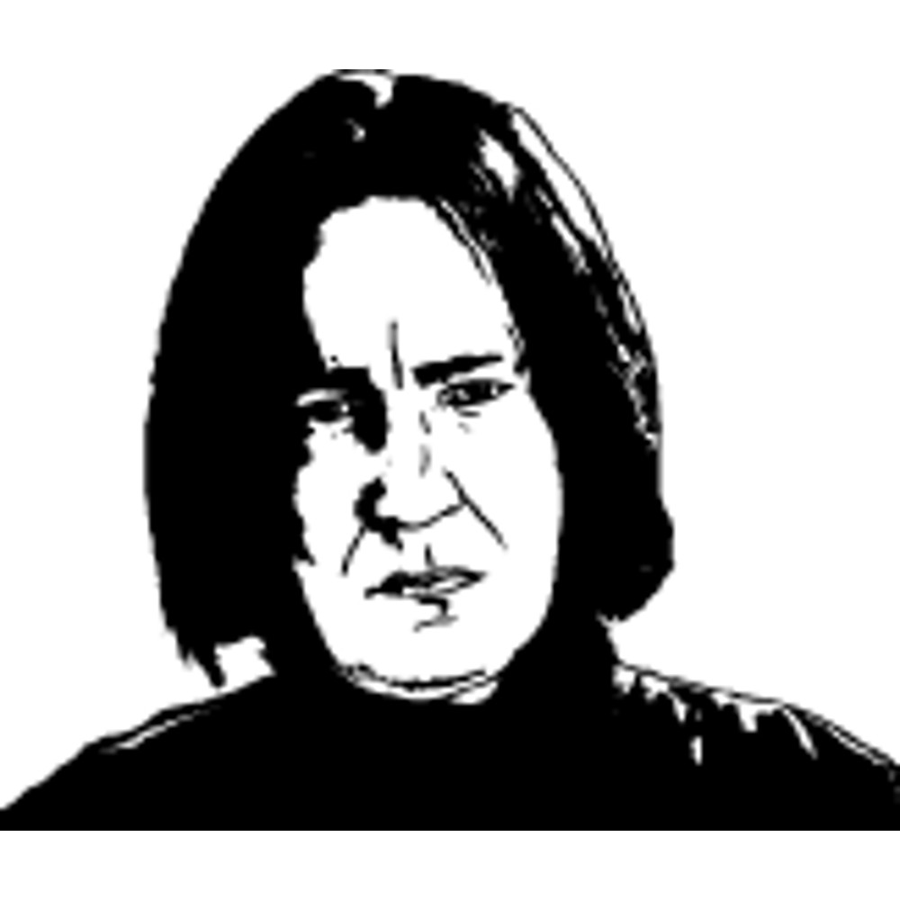 Harry Potter (40).png