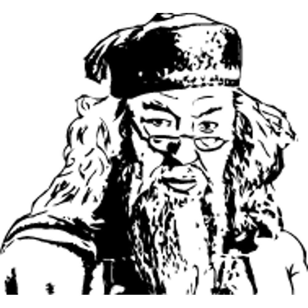 Harry Potter (41).png