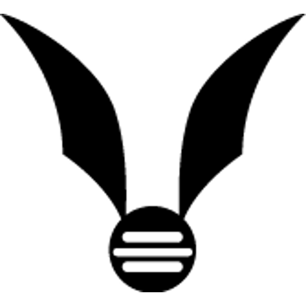 Harry Potter (46).png