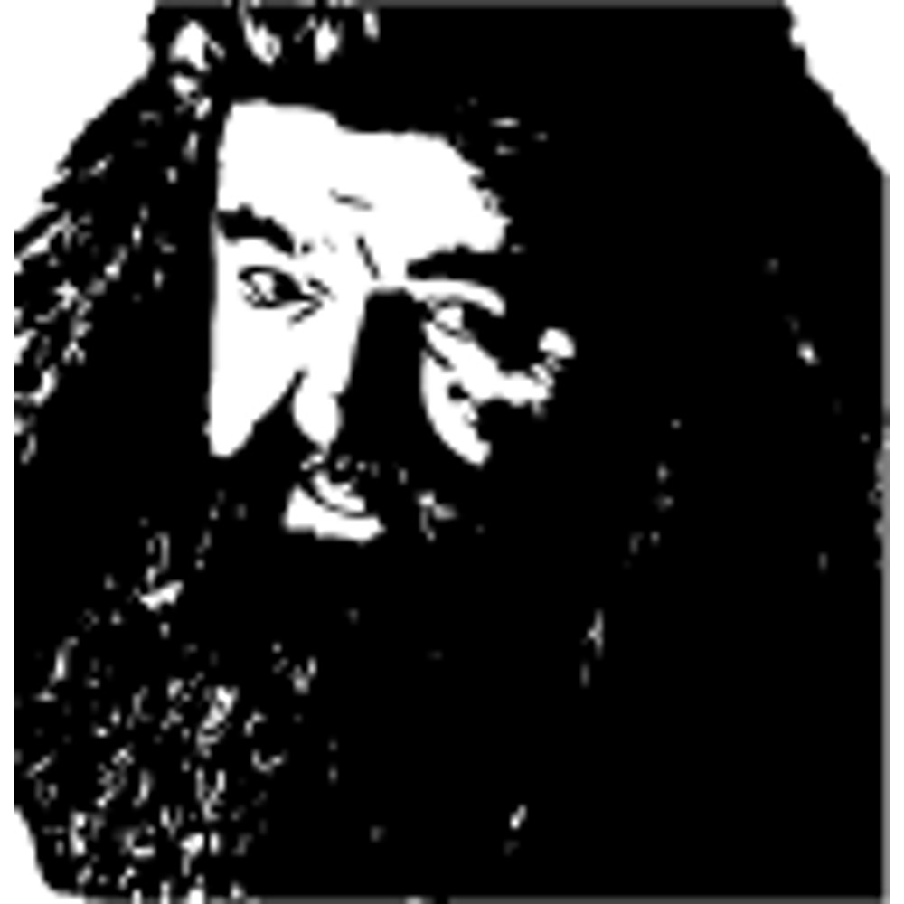 Harry Potter (47).png