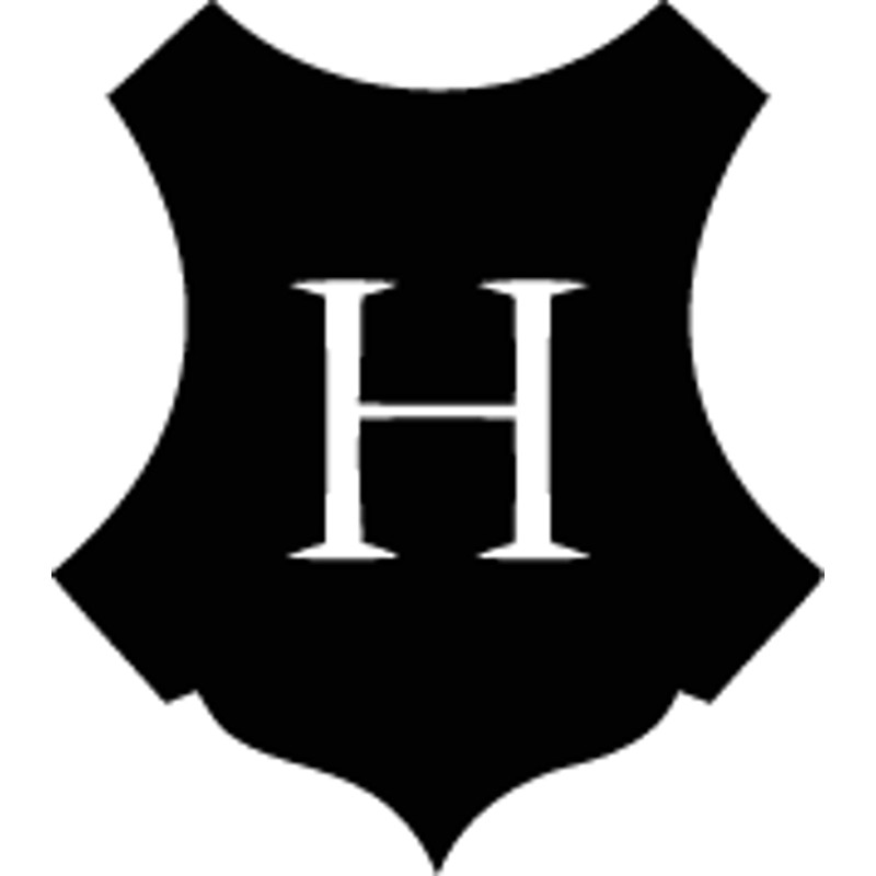 Harry Potter (51).png