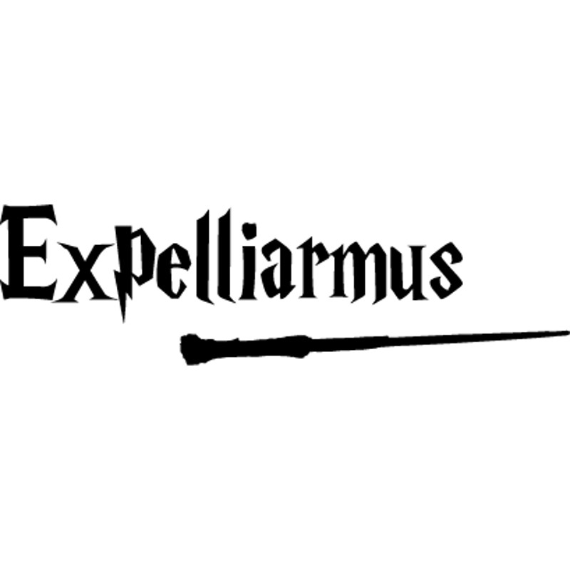 Harry Potter (95).png