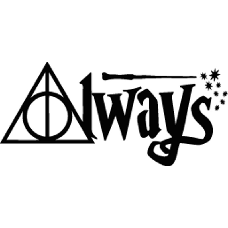 Harry Potter (111).png