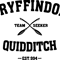 38.gryffindor quidditch.png