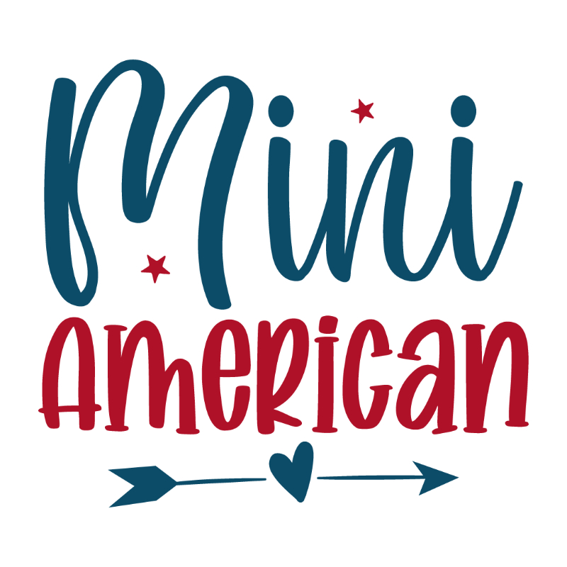 Mini american-01.jpg