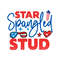 Star Spangled Stud-01.jpg