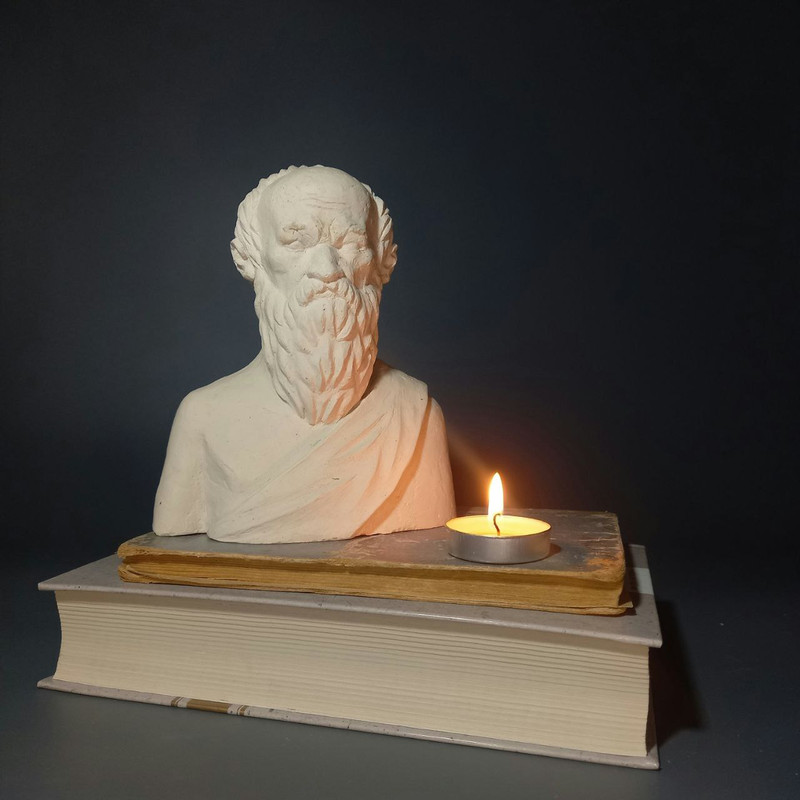 Diogenes Of Sinope Handcrafted Bust Head Sculpture Interior Object 1