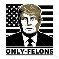patriotic trump face only felons svg file digital