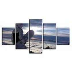skating sports sport 5 panel canvas art wall decor
