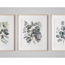 Eucalyptus Wall Art, Triptych Wall Art, Botanical Prints,