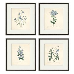 Antique botanical prints SET of 4 Botanical art