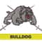 Bulldog.jpg