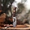 Hand Forged Damascus Steel Hunting Knife Best Damascus Knife For Outdoors Adventure Christmas Gift For Him 0