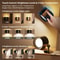 Luxurious 360 Rotating Dual Head LED Wall Light Indoor Bedroom Bedside Reading Light With Decorativ 2