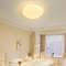 Nordic Minimalist Post-Modern LED Ceiling Light, Dimmable Master Bedroom, Living Room, Study Corridor Lighting Fixture