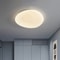 Nordic Minimalist Post-Modern LED Ceiling Light, Dimmable Master Bedroom, Living Room, Study Corridor Lighting Fixture