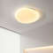 Nordic Minimalist Post-Modern LED Ceiling Light, Dimmable Master Bedroom, Living Room, Study Corridor Lighting Fixture