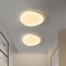 Nordic Minimalist Post-Modern LED Ceiling Light, Dimmable Master Bedroom, Living Room, Study Corridor Lighting Fixture