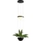 Modern LED Glass Ball Pendant Light Creative Hanging Lamp For Plants Garden Home Decoration Stylish 2